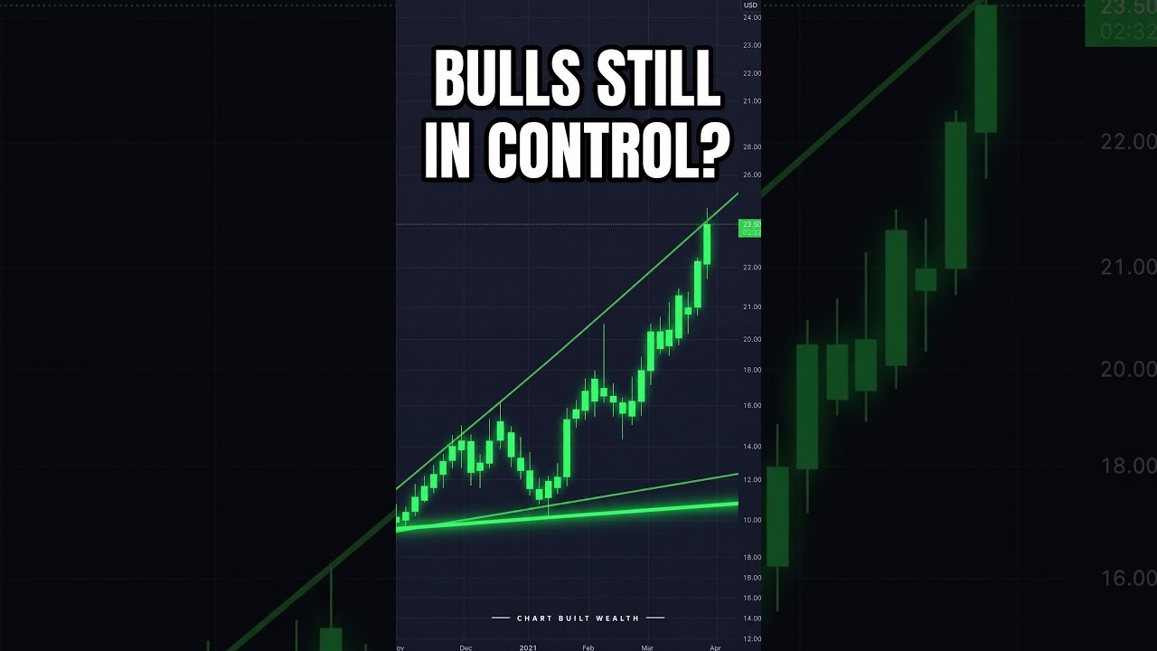 NATURAL GAS PRICE; BULLS STILL IN CONTROL?