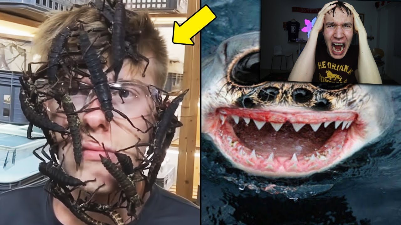 ÄLÄ KATSO POIS HAASTE 4