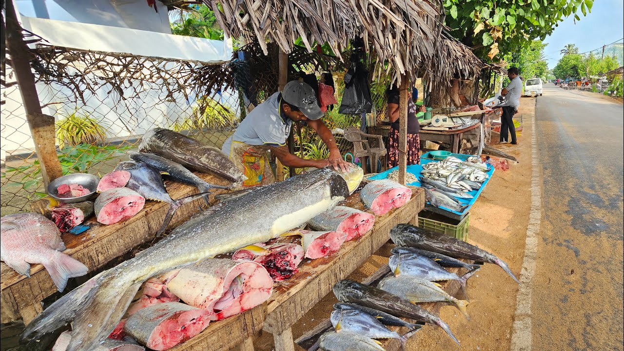 Wow!! Rural Village Beautiful Street Fish Markets Hard Day In Life Of Villagers
