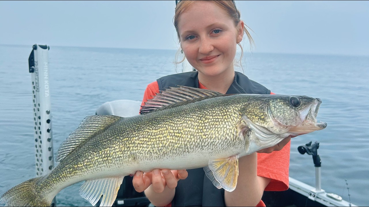 Trolling for Summer Walleye on Lake Erie | HUGE Fish!!