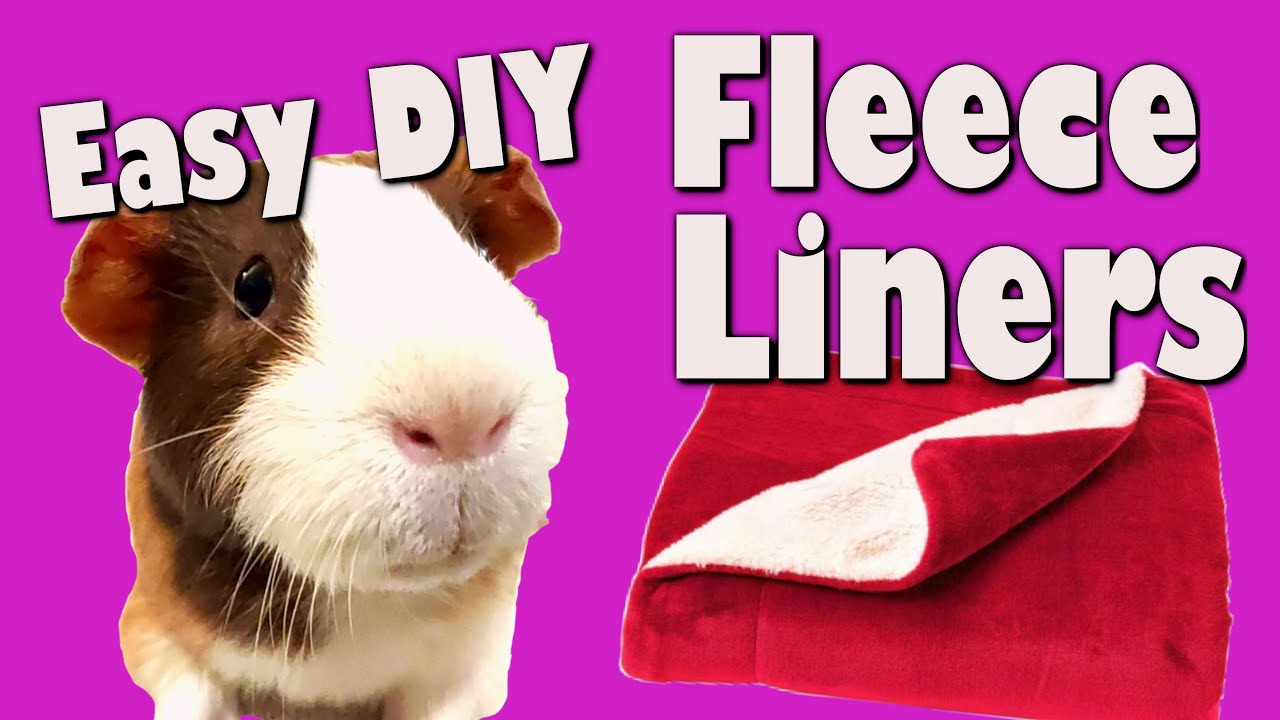 Your Guinea Pigs NEED these Fleece Liners!