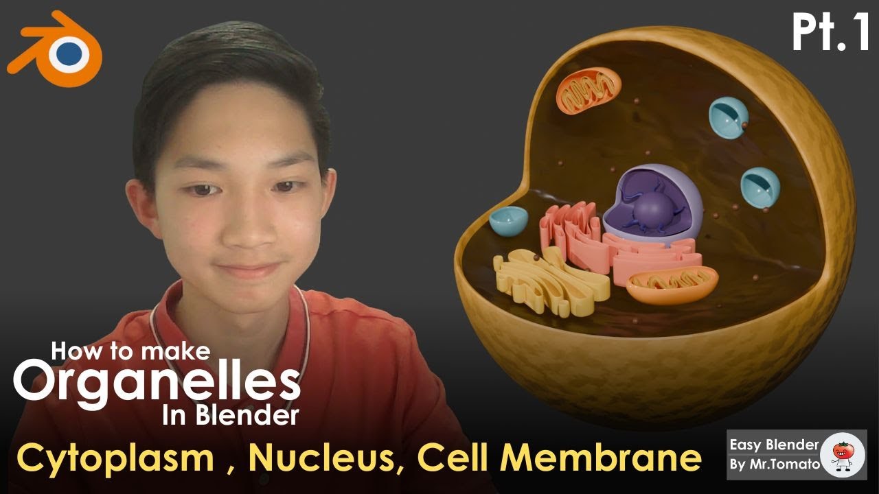 How to make Organelles in Blender Pt 1 Cell Membrane, Cytoplasm, and  Nucleus