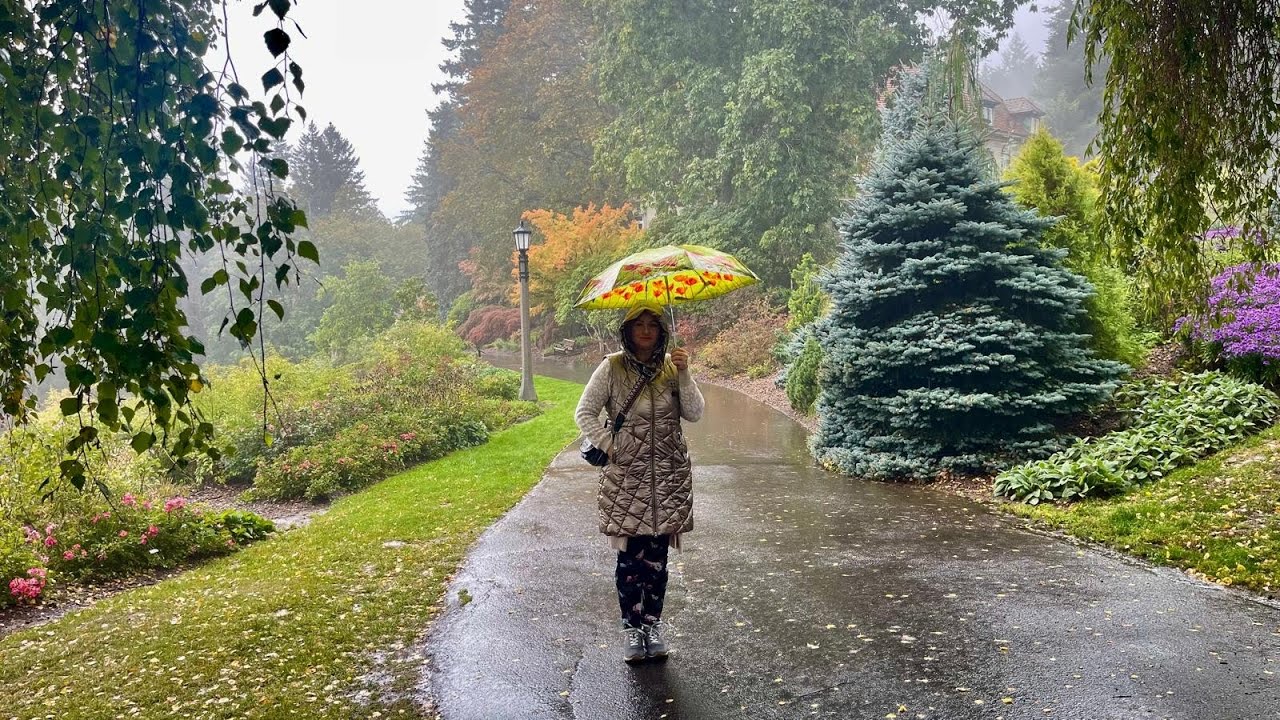 Три главных витамина для молодости и красоты