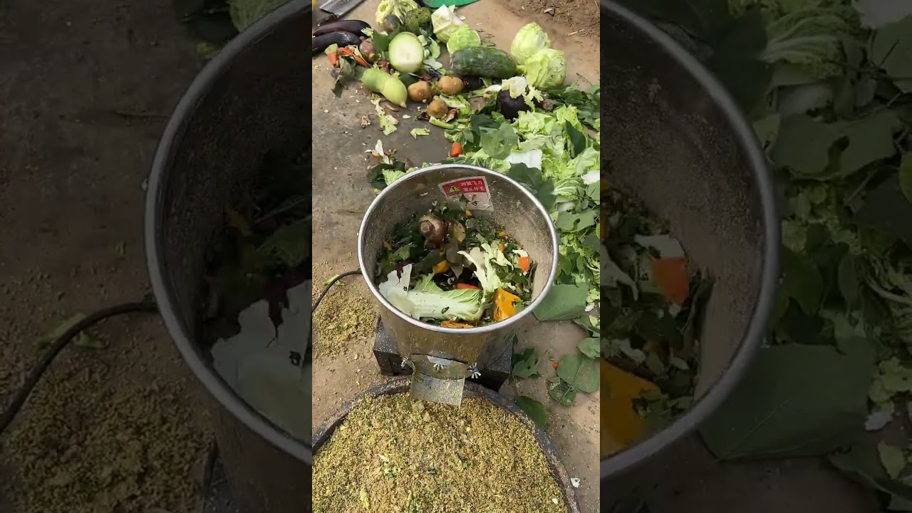 High-power stainless steel vegetable chopper #vegetablechopper #chicken, duck, and goose farming