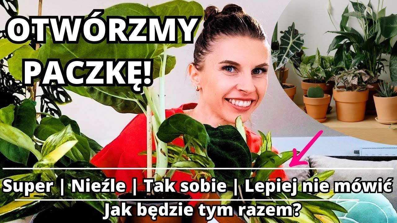 Czy dużo wymagam? 😉  Przesyłka z nowymi roślinami!