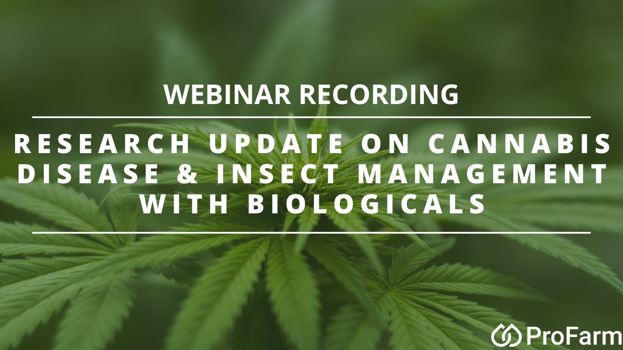 Using Biologicals, Best Practices & Latest Research to Grow Cannabis