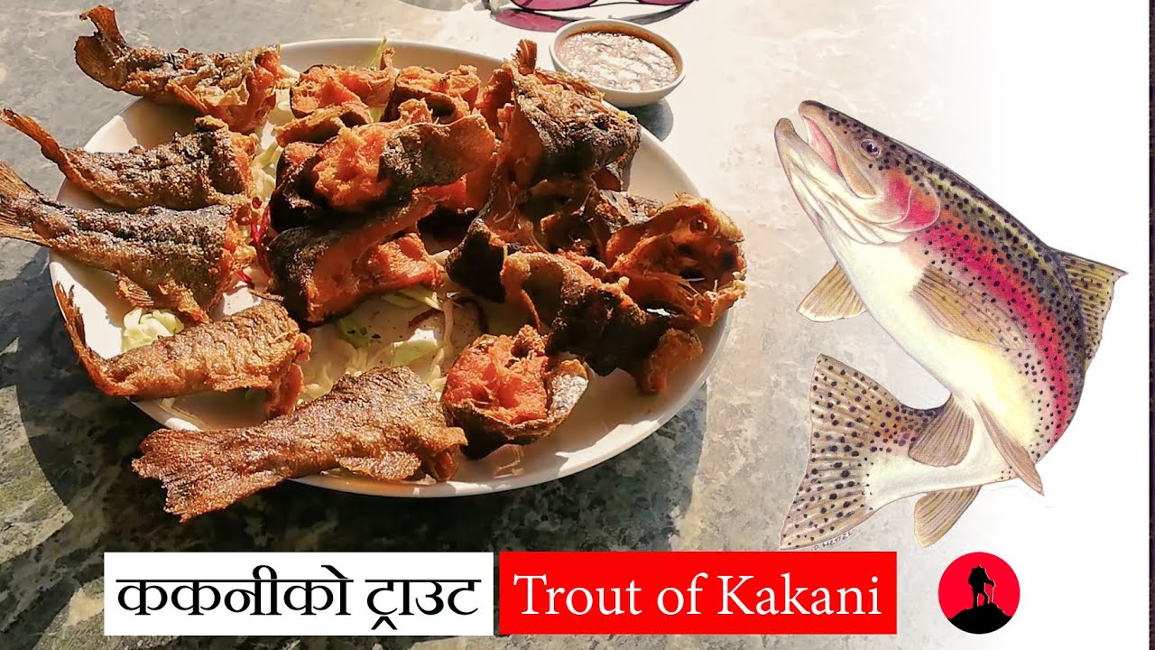 Kakani trout fish | Fried trout fish | Tasty trout recipes