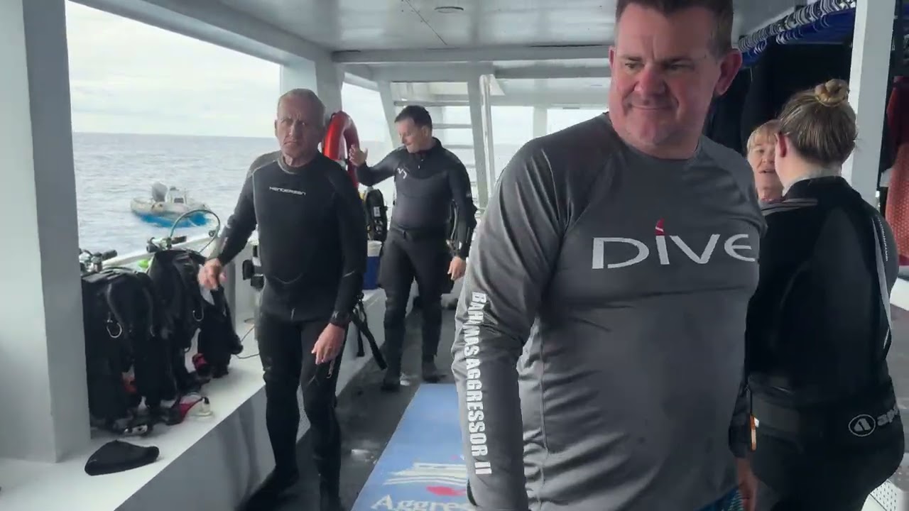 Bahama Agressor 24-31 januari 2026