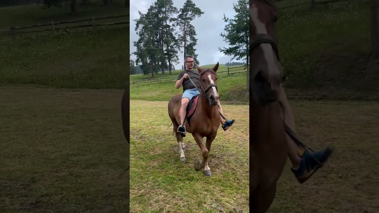 Relaxing my mind for the next flight #horse