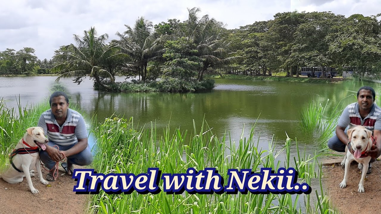 Travel with Nekii..| අපි පොඩි රවුමක් ගහන්න ආවා..