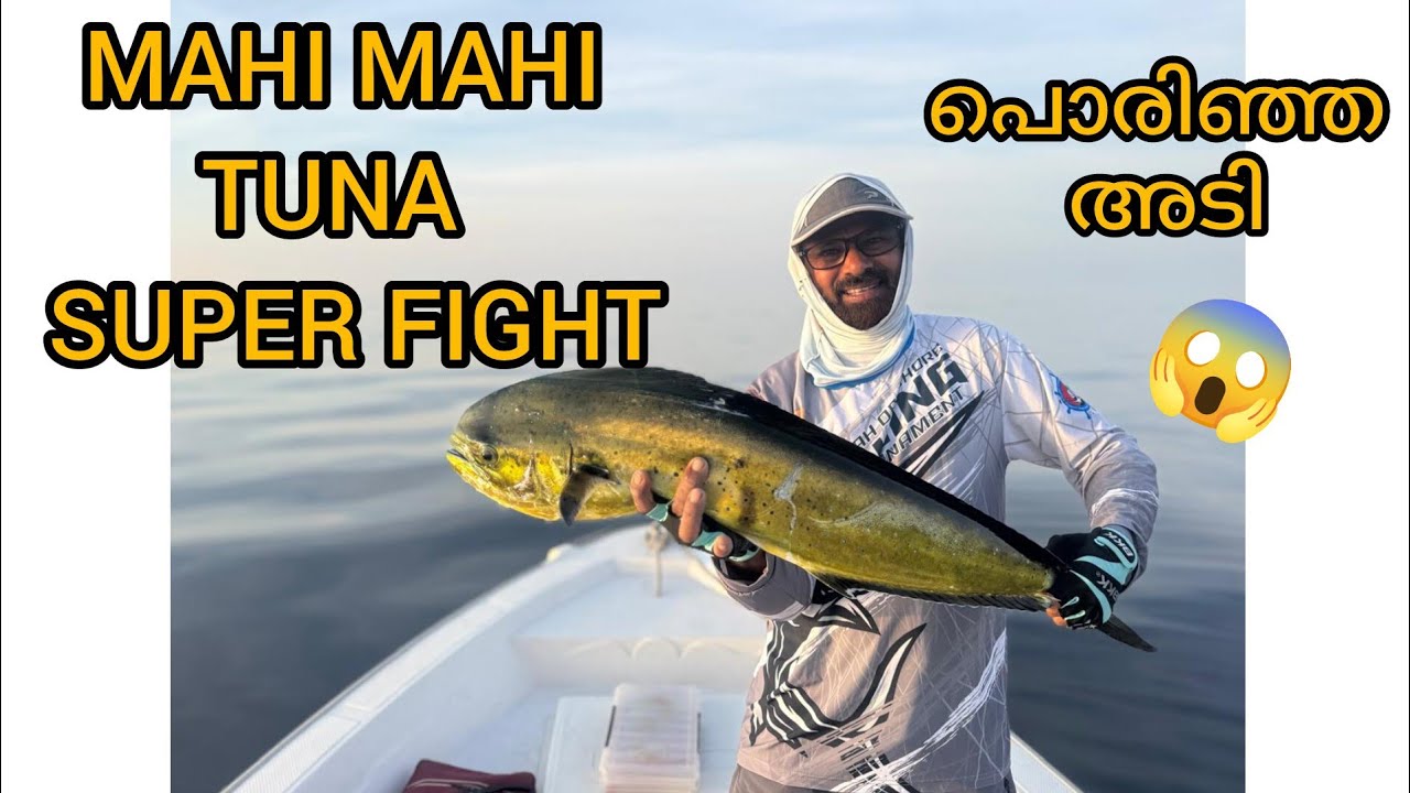 Triple Catch Madness! Mahi Mahi, Tuna & Needlefish Super Fight | Ali Bhai Fishing UAE🎣😱👍