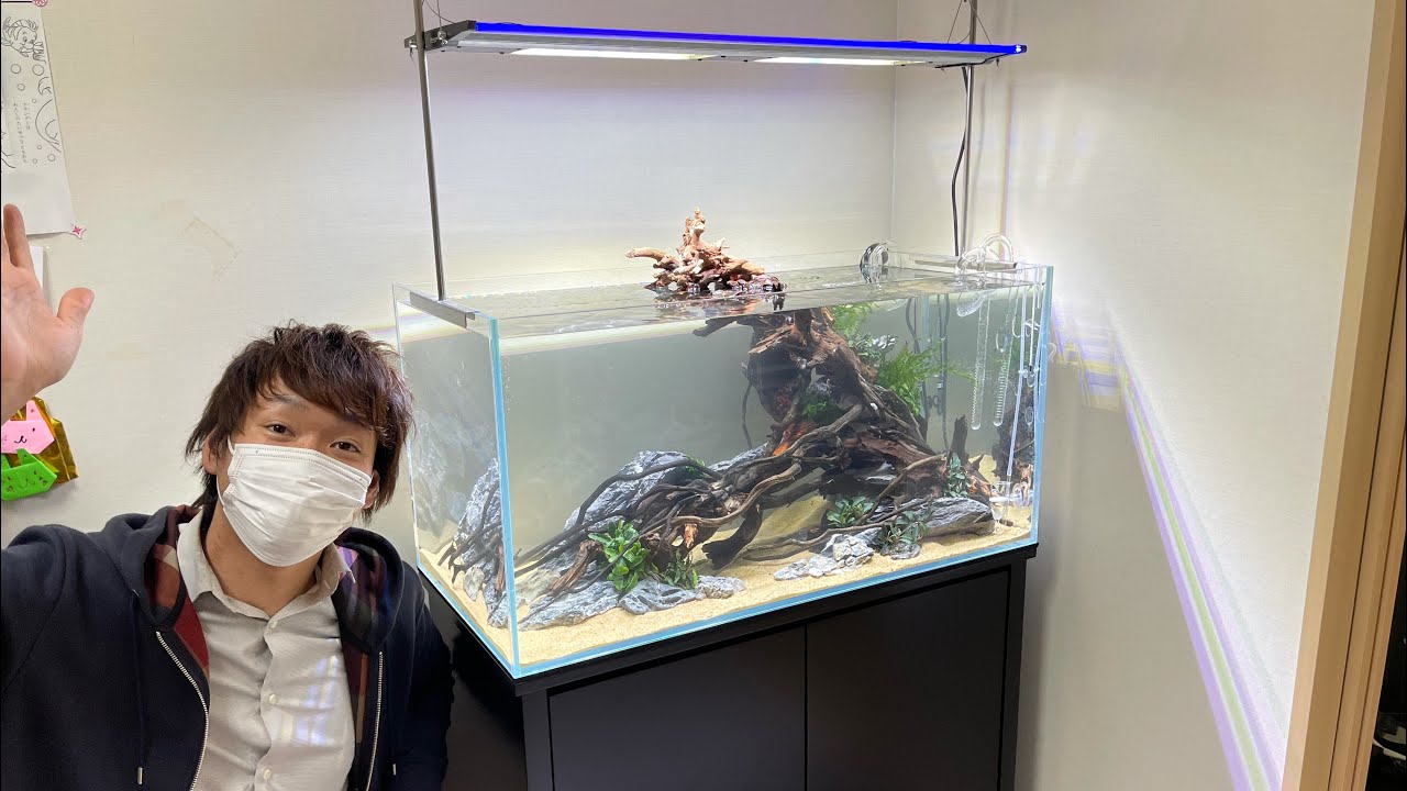 コリドラスの楽園！出張レイアウトin八尾【アクアリウムトールマン動画チャンネル！トールマンTV!】