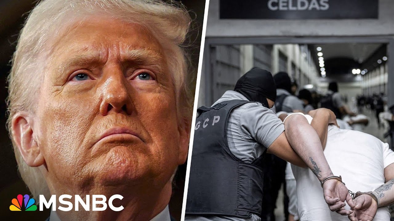 'Very weak case': Ex-ICE lawyer reacts to arguments over Trump deportation flights