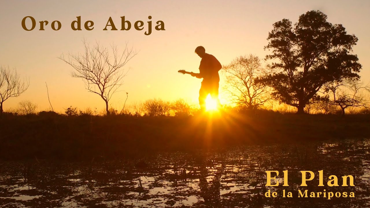 El Plan de la Mariposa | Oro de abeja