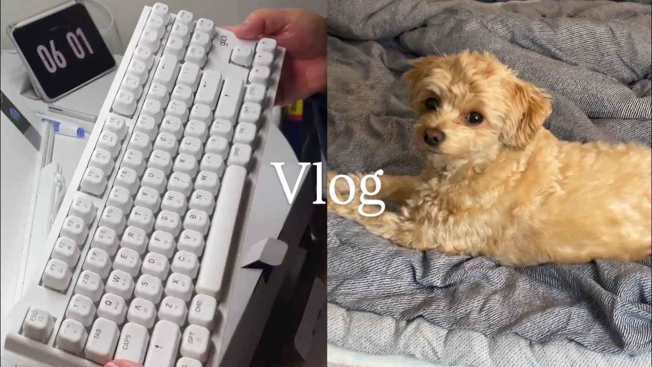 (Vlog)D-38 직병행 경시생의 일찍 일어나는 새가 인강을 더 듣는다📚 ㅣ 키보드언박싱 ㅣ 미라클모닝