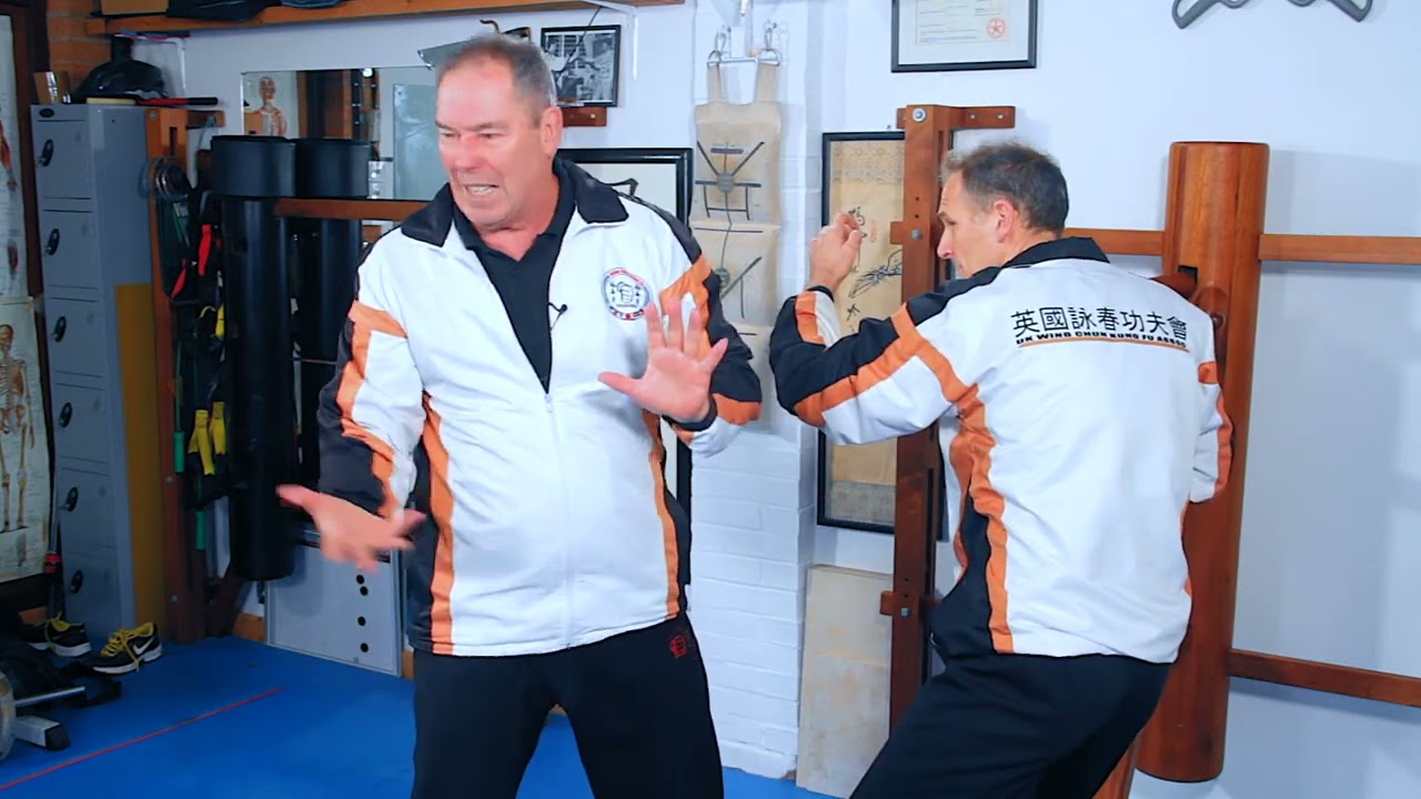 Wing Chun Pak Sau