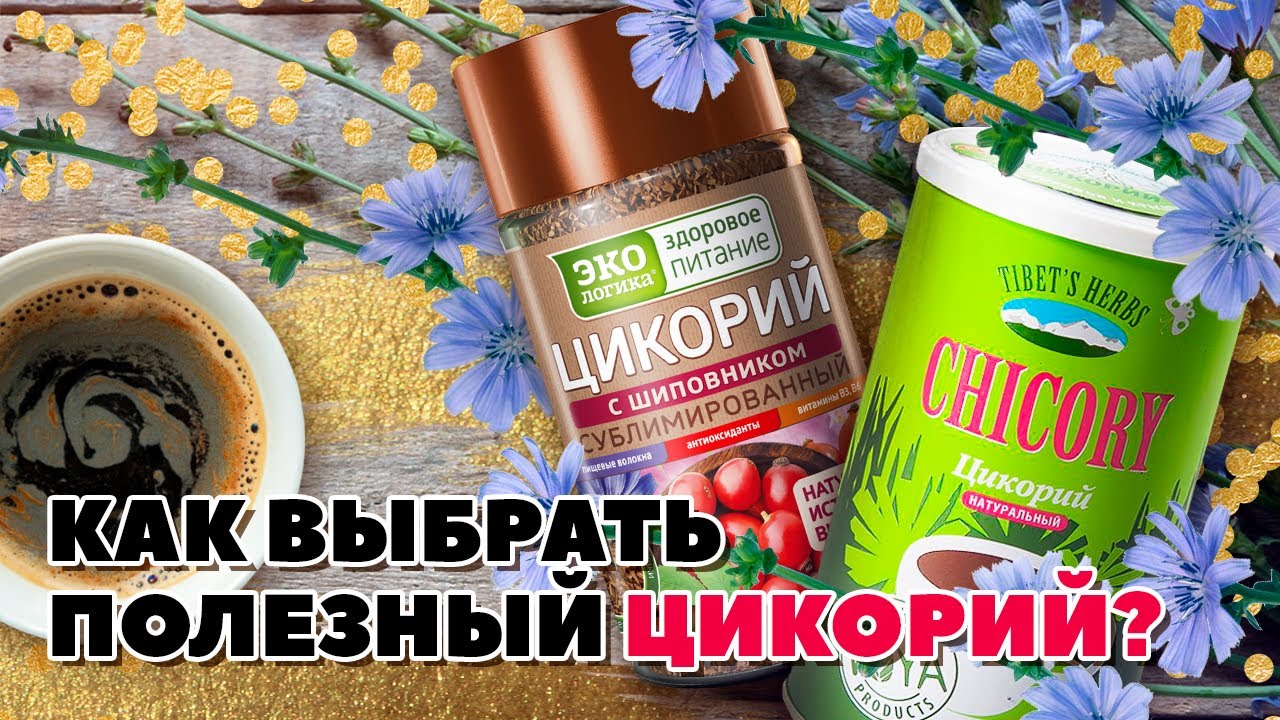 Как выбрать полезный цикорий с инулином? Виды и свойства напитка.