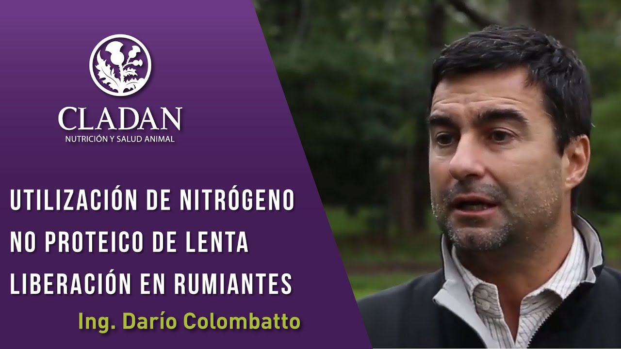 Cladan Webinars - Ganadería - Utilización de nitrógeno no proteico de lenta liberación en rumiantes