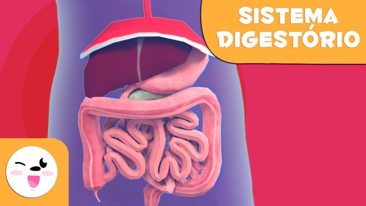 As partes do sistema digest&oacute;rio - Uma viagem para o interior do corpo humano