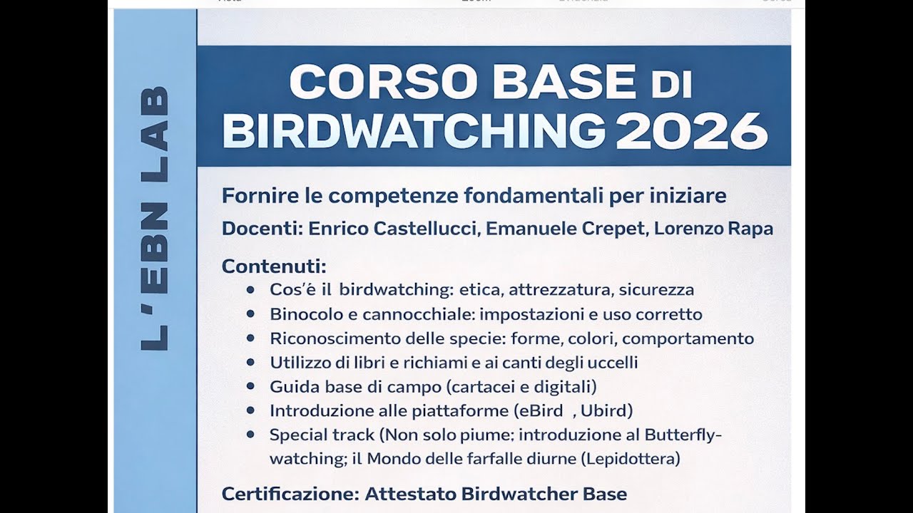 L'EBN Lab  Corsi di birdwatching 1| di Enrico Castellucci
