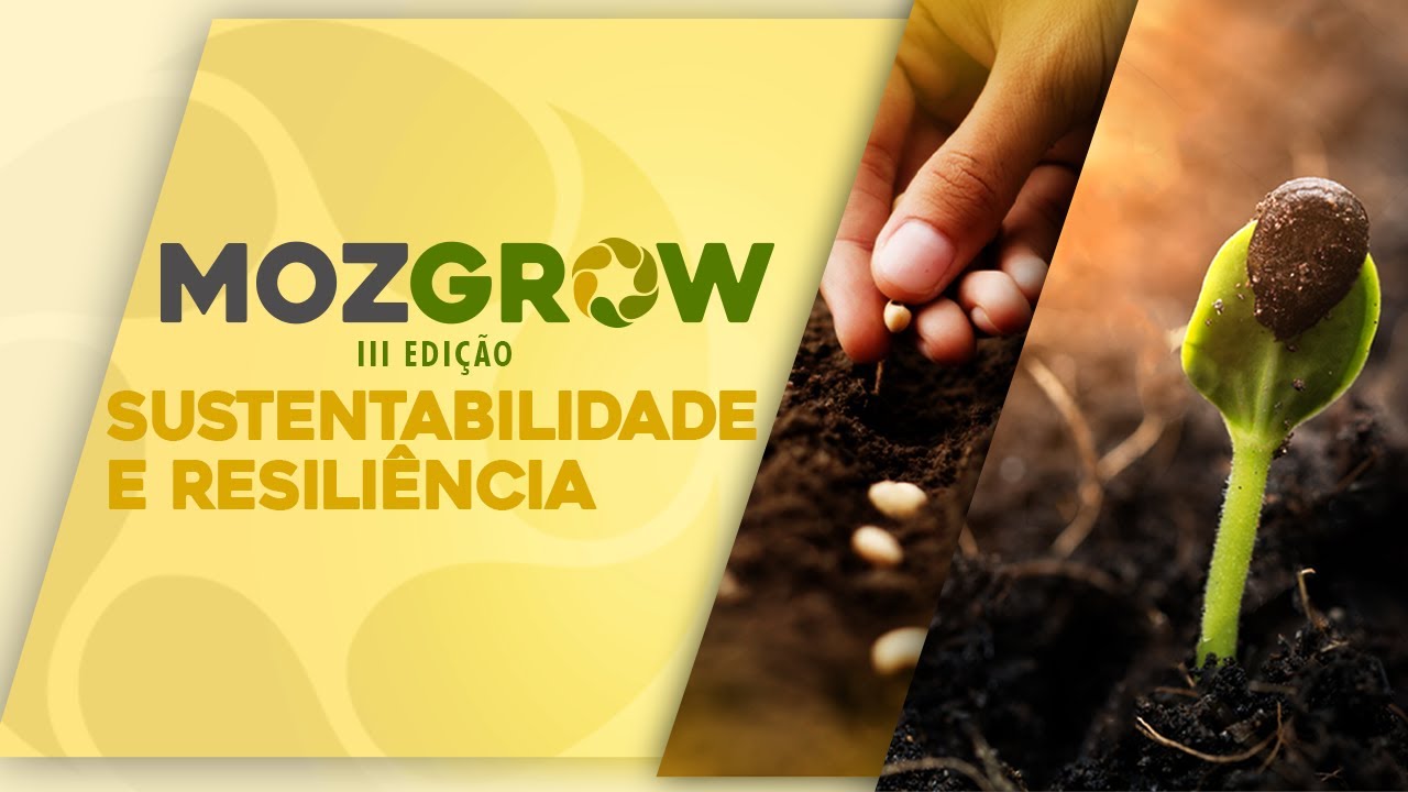 ENTREVISTA: Agenda 2030 e os desafios da agricultura sustentável