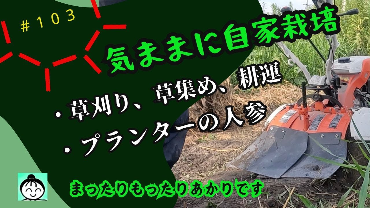１０３【vlog】【作業】　草刈り、草集め、耕運　字幕は字幕ボタンを押してくださいませ＾＾