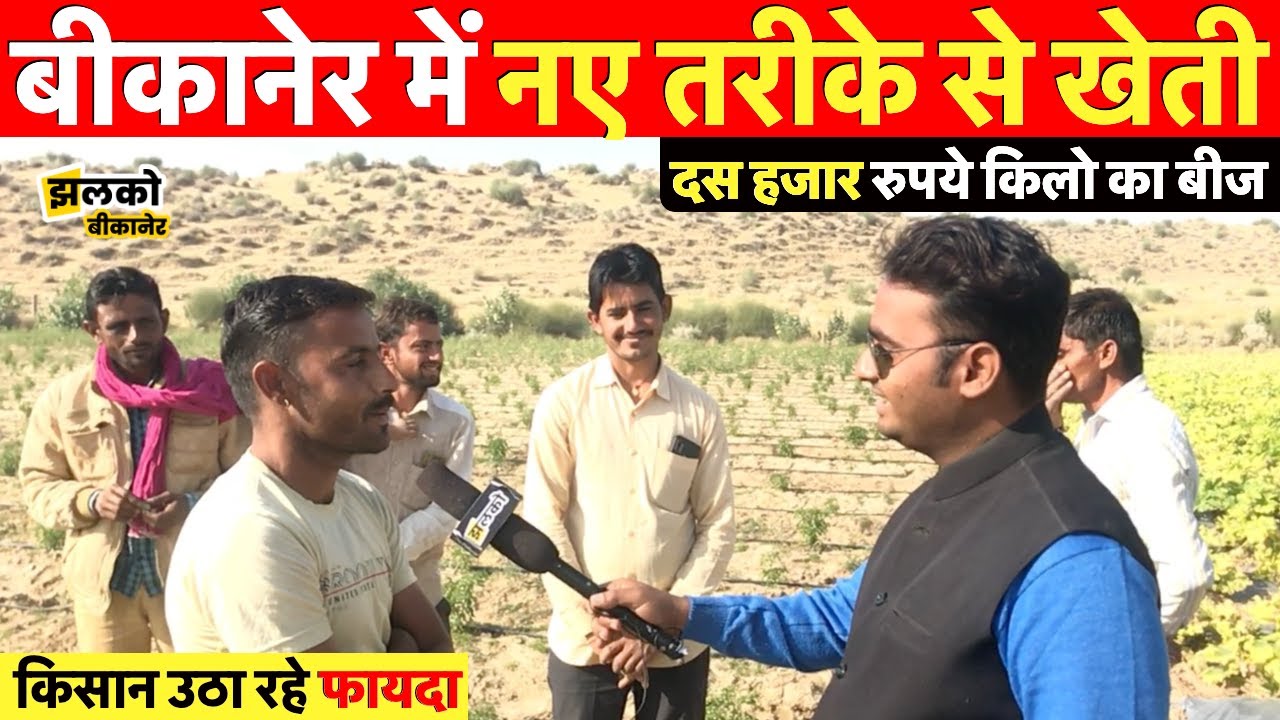 बीकानेर में नए तरीके से खेती कर किसान उठा रहे फायदा ~ Bikaner News
