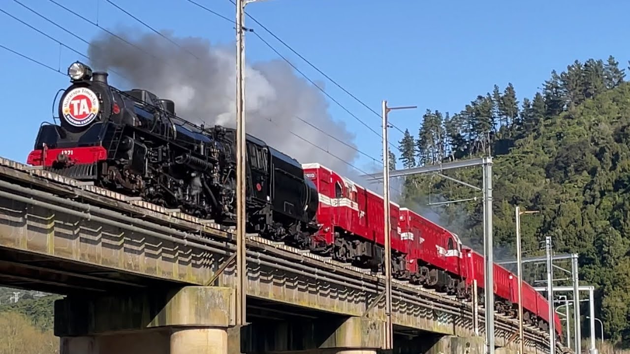 Daffodil Express 2023 | Steam Incorporated