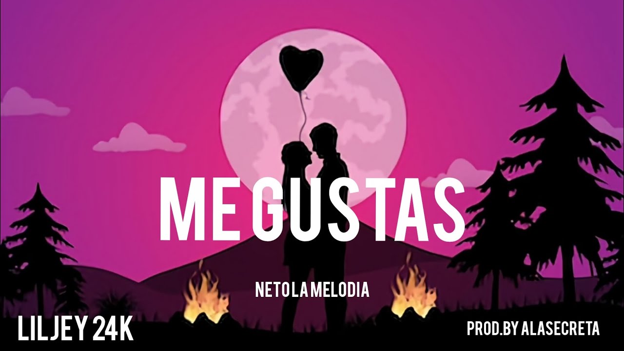ME GUSTAS. NETO LA MELODIA (LILJEY) 