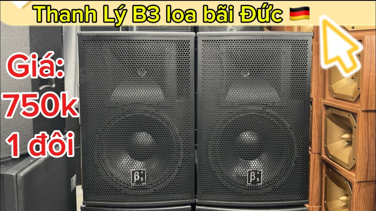 Loa Bãi Đức 🇩🇪 về cả lô hàng khủnggg Bas30 giá huỷ diệt 750k - 1 đôi rẻ như tặng ae nhanh tay..