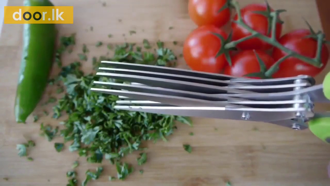 5 Layered Stainless Steel Kitchen Scissors
