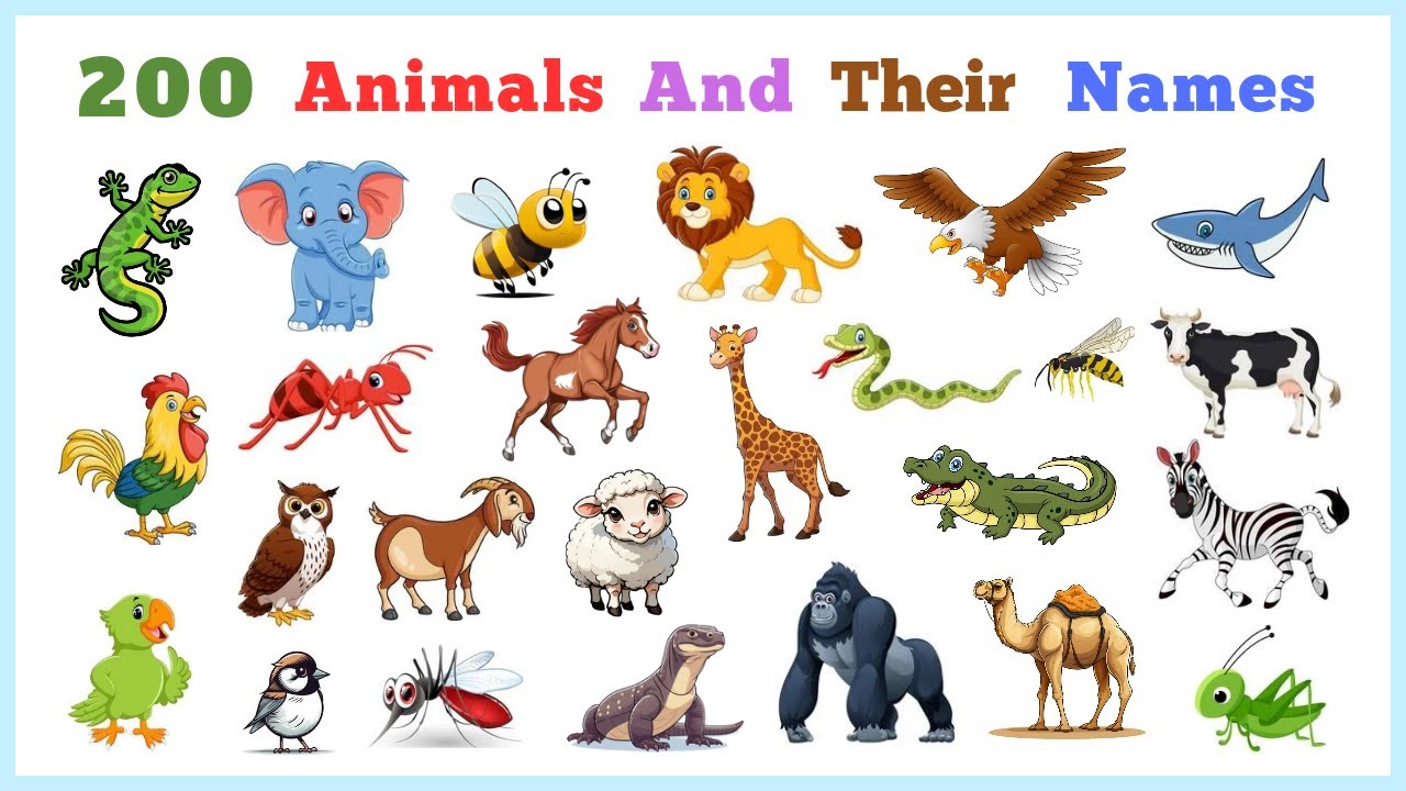 Animals Vocabulary in English | 200 Animals, Birds, Insects Name in English with Pictures