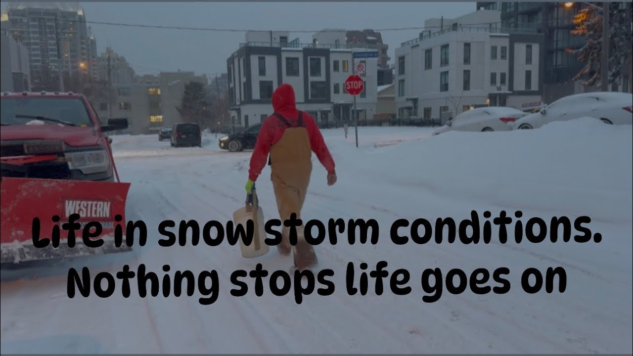 Snow storm in Toronto. Everything became white. Life goes on. #snow #torontolife #canada 