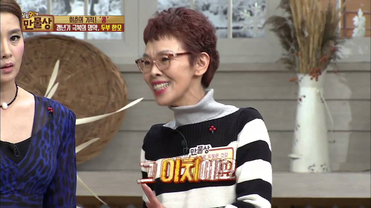 데친 두부가 아닌 찐 두부! [살림9단의 만물상] 119회 20151220