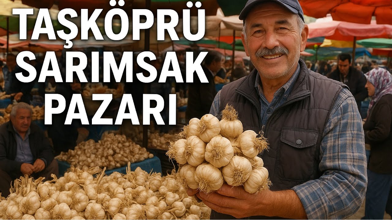 Çiftçiden Tüketiciye: Taşköprü Sarımsağı Pazarda Taşköprü Sarımsağı Alışverişi: Pazarın Renkli Hali