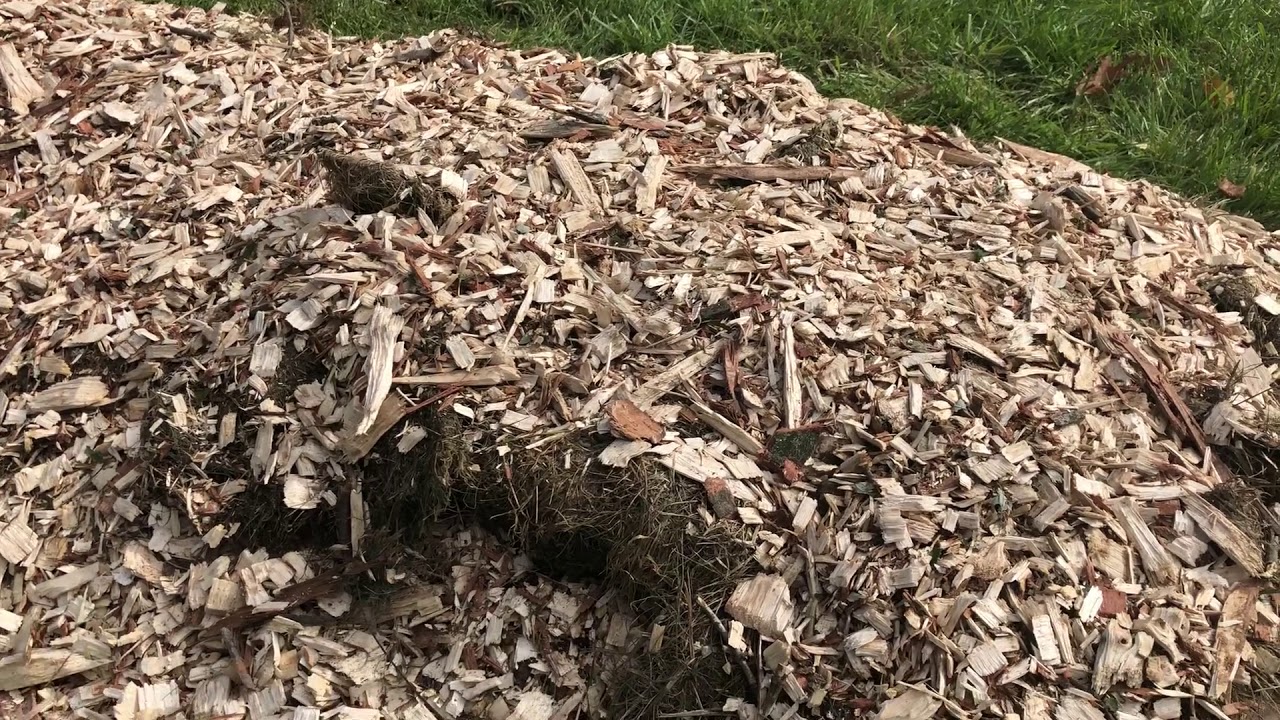 Wood Chips for Garden Beds