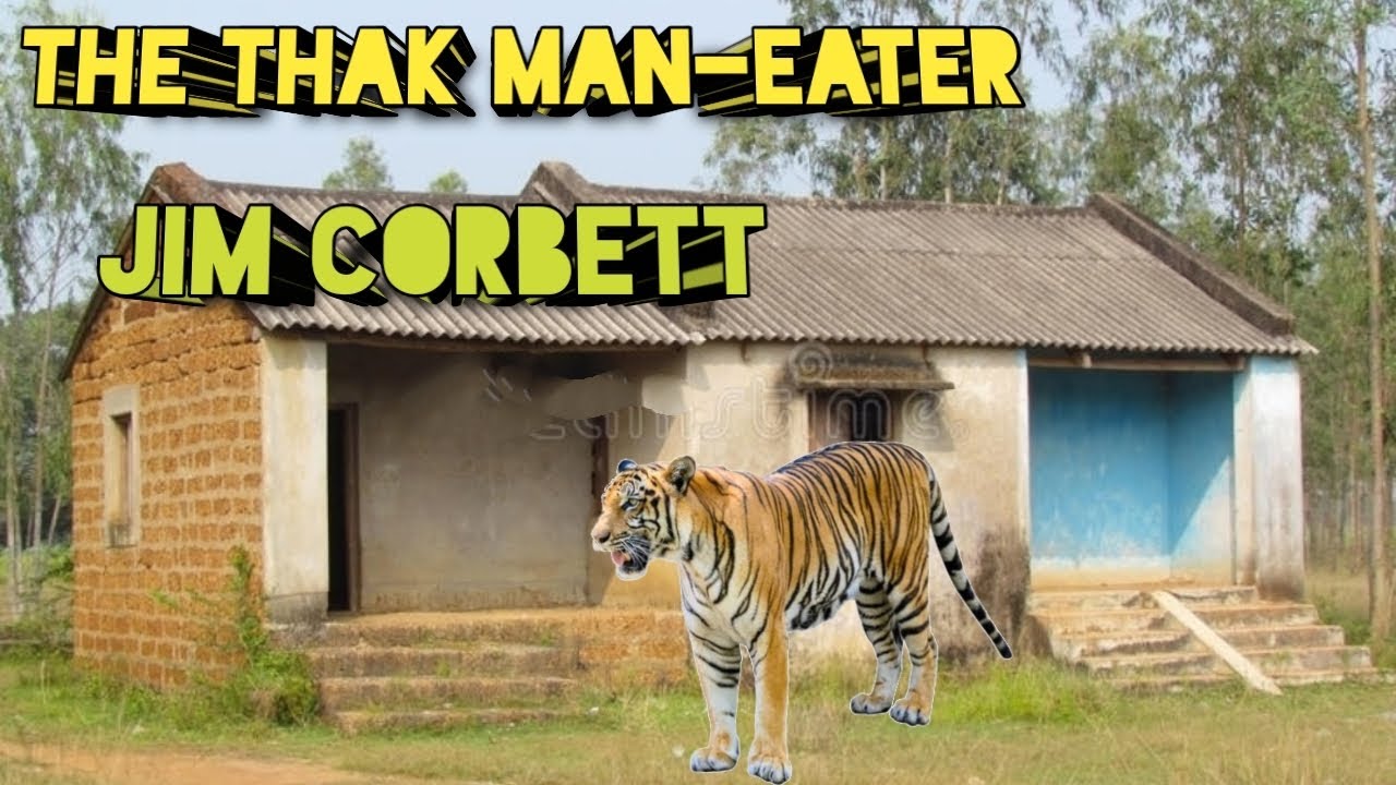 THE THAK MAN-EATER JIM CORBETT | Man Eater Tiger Jim Corbett | Man Eaters Of Kumaon | Thak Man Eater