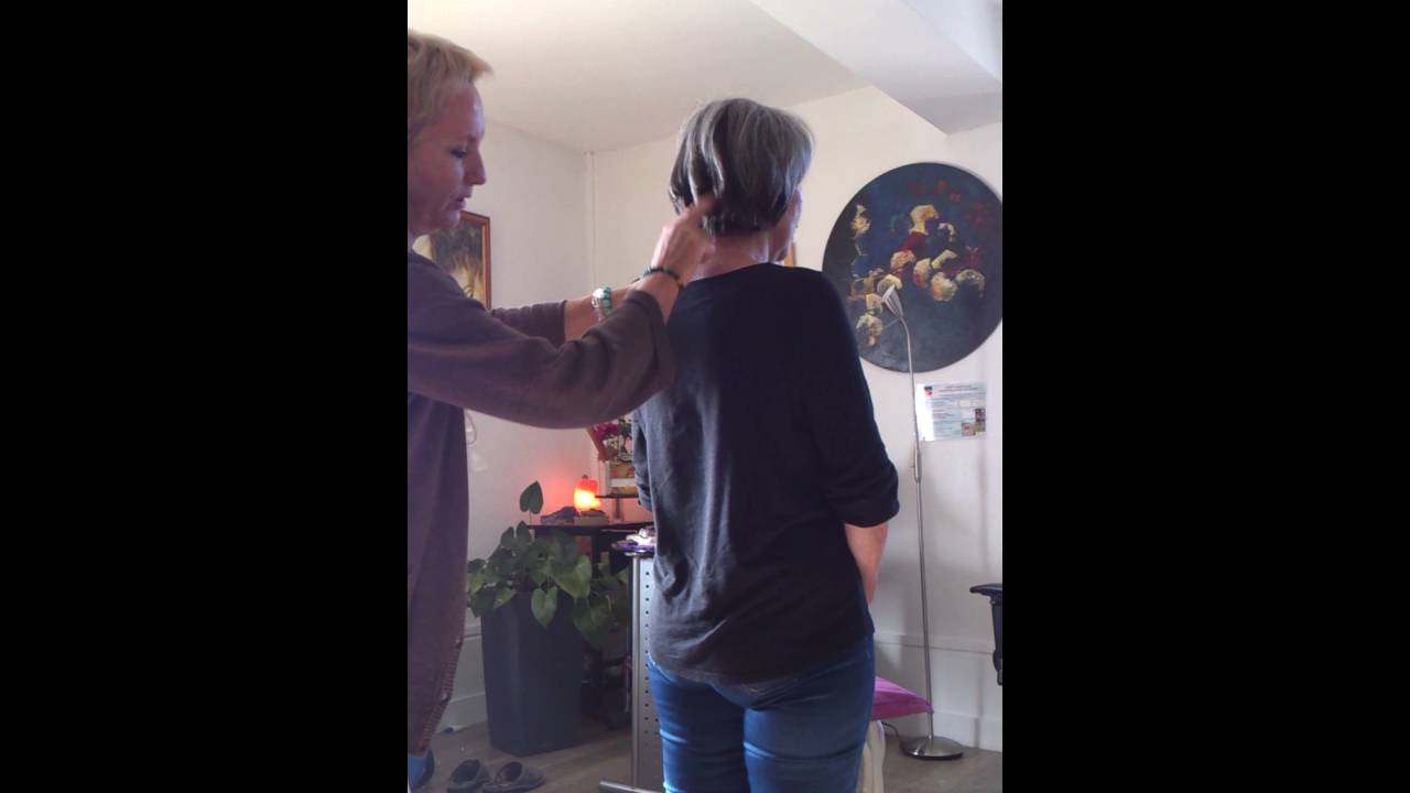 R&eacute;vision 1er degr&eacute; Reiki