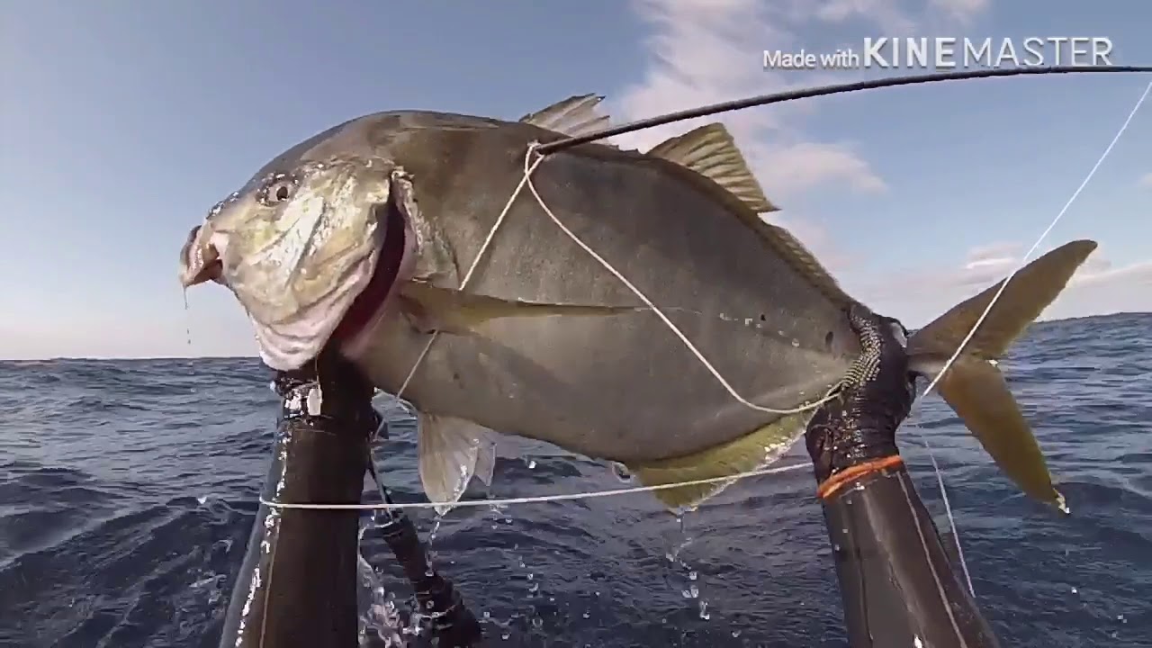 Pesca sub nos Açores 6