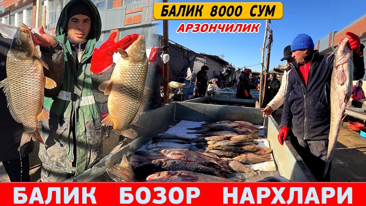 ХАРАЗМ  ХАЗОРАСП  БАЛИК  БОЗОРИ   23-ЯНВАРЬ  XORAZM  NARX  NAVO