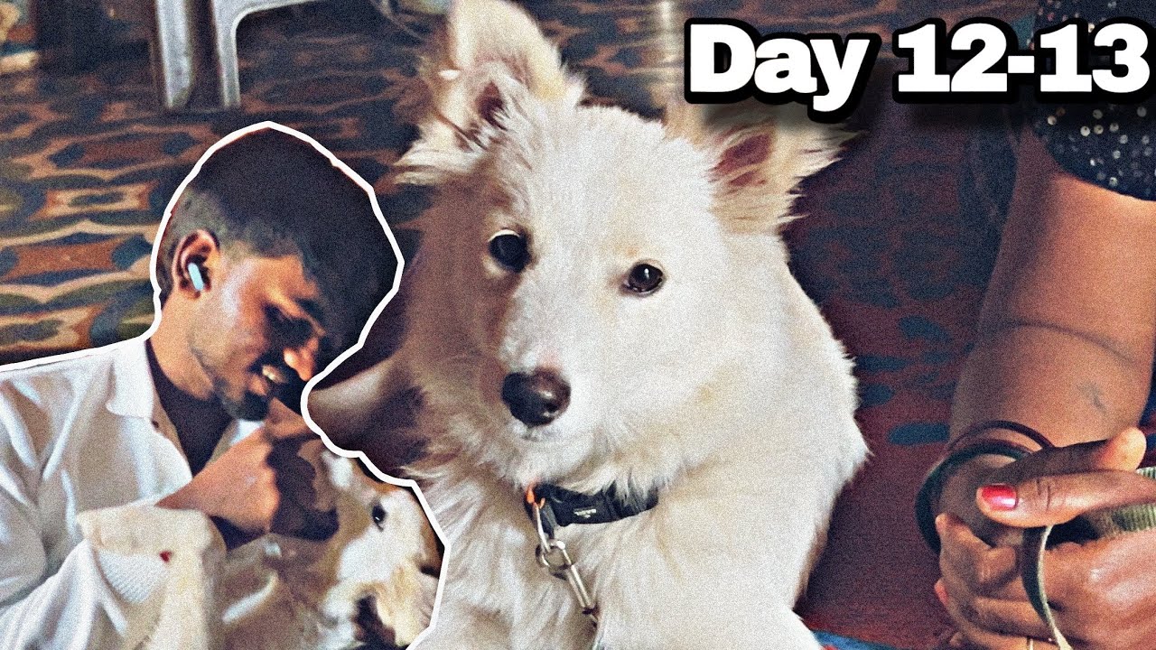 I forced myself to be disciplined | Day 12–14