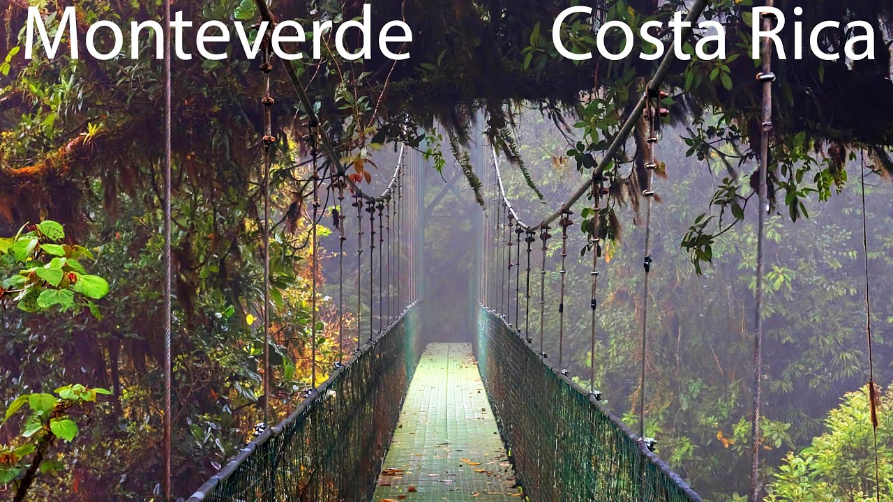 Treetopia Park Monteverde, Costa Rica - adventurous hanging bridges in the mystical cloud forest