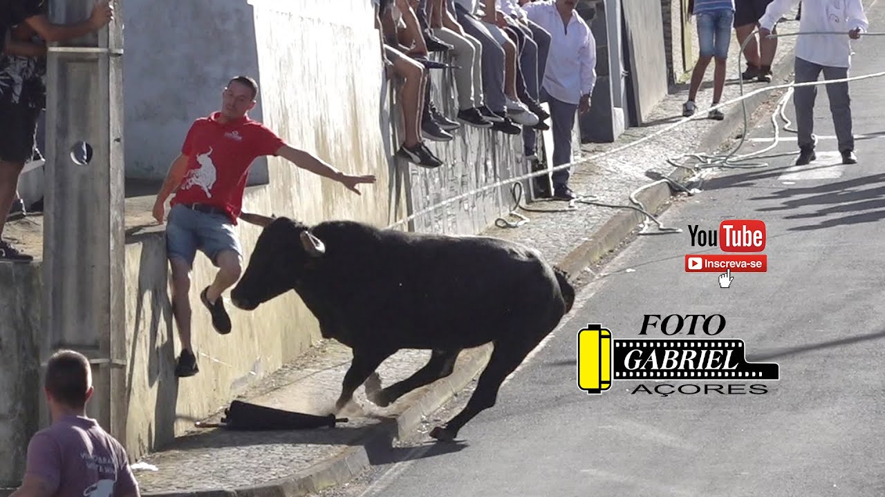 Tourada, Fonte do Bastardo 20- 08- 2025 Ganadeiro J.A. AÇORES