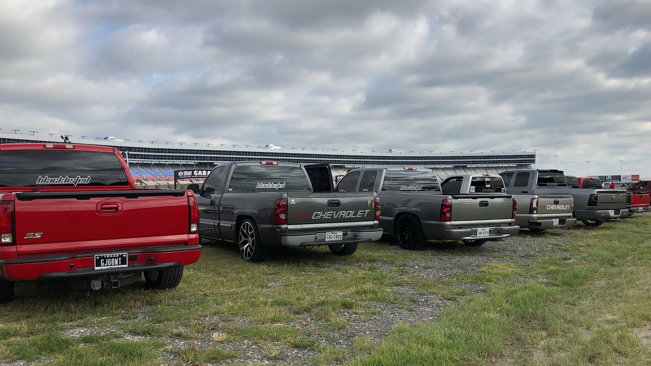 Scraping Into Spring 2019