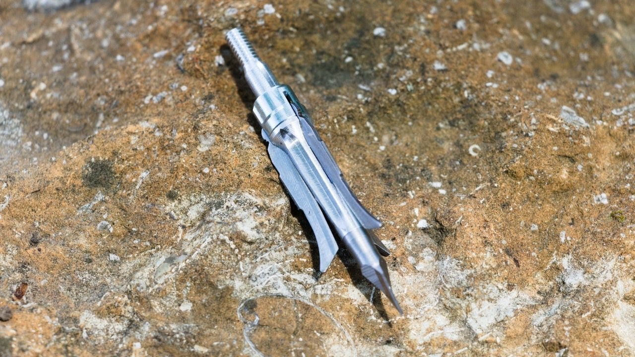 Обзор Grim Reaper Whitetail Special Broadhead