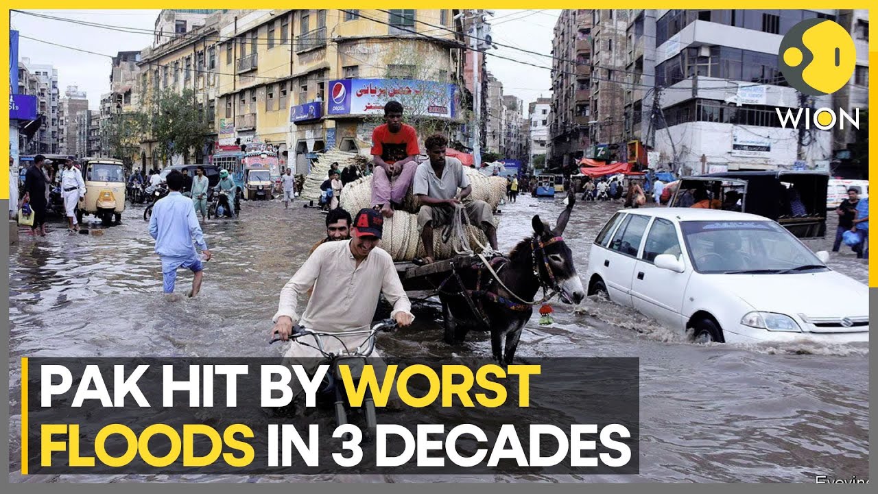 Pakistan: Thousands evacuated due to water level surge in Sutlej river | Latest News | WION