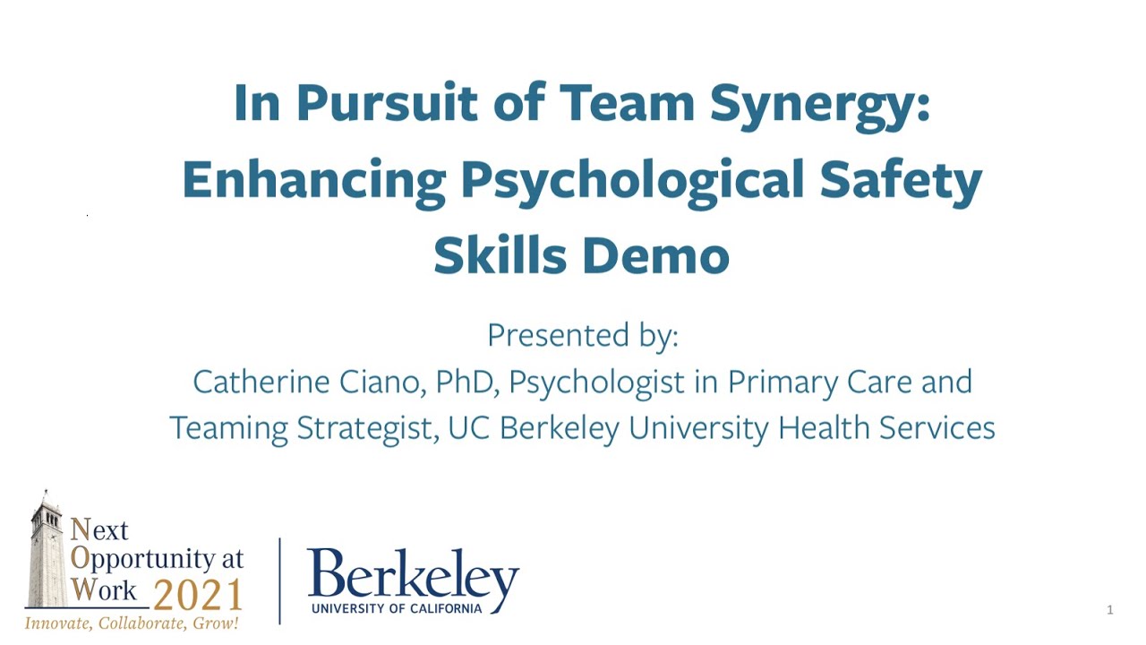 In Pursuit of Team Synergy: Enhancing Psychological Safety Skills Demo