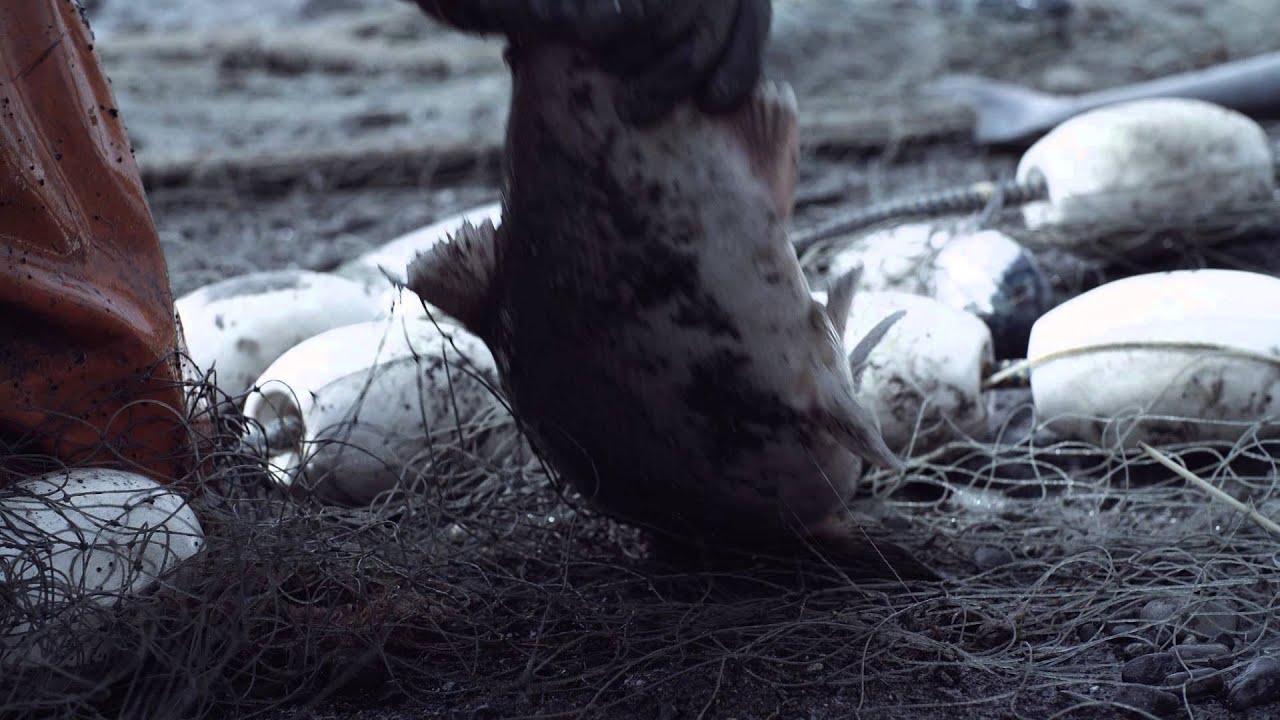 Life on the Eluk River with Toyostove | 15-Second Teaser ft. Tom O'Conner