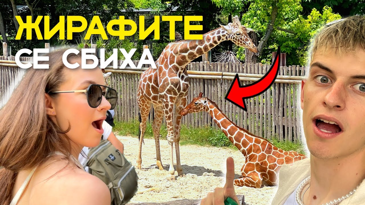 ПОСЕТИХМЕ НАЙ-ГОЛЕМИЯ ЗООПАРК В ИТАЛИЯ