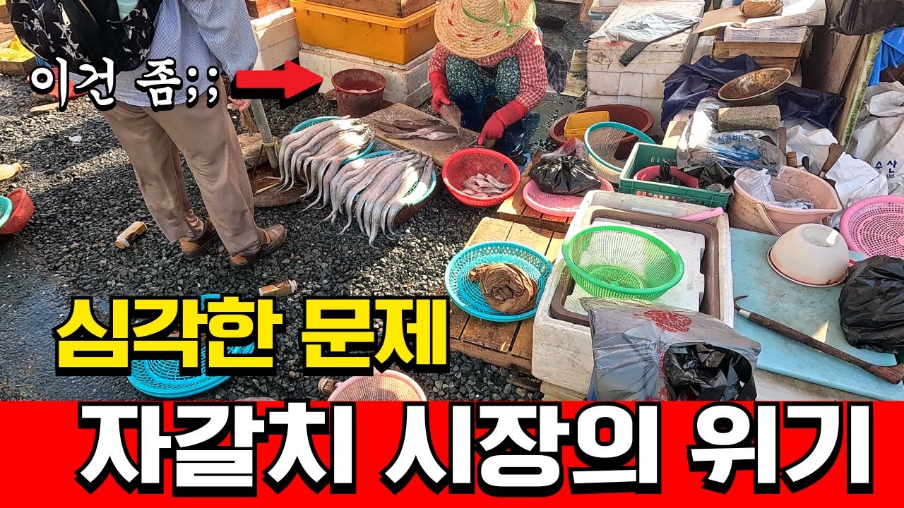 235억 들이고도 텅텅 빈 부산 자갈치 시장의 눈물